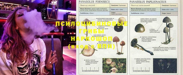 кокаин колумбия Аркадак