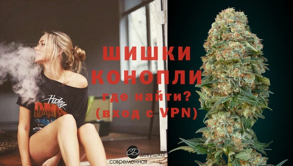 крисы Арсеньев