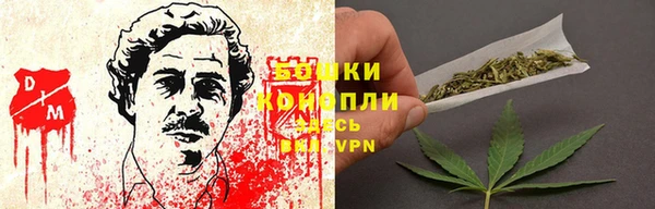 крисы Арсеньев